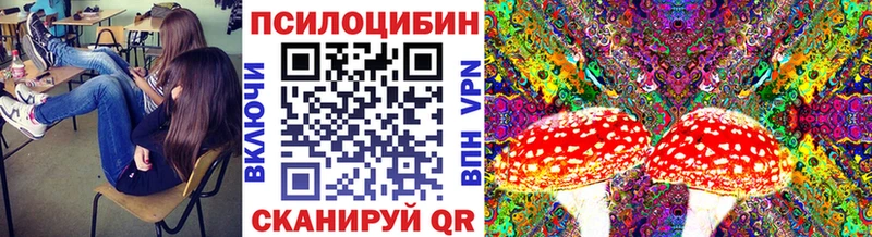 Галлюциногенные грибы Cubensis  Лебедянь 